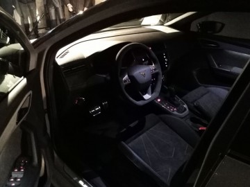 Ibizy Cupra nie będzie